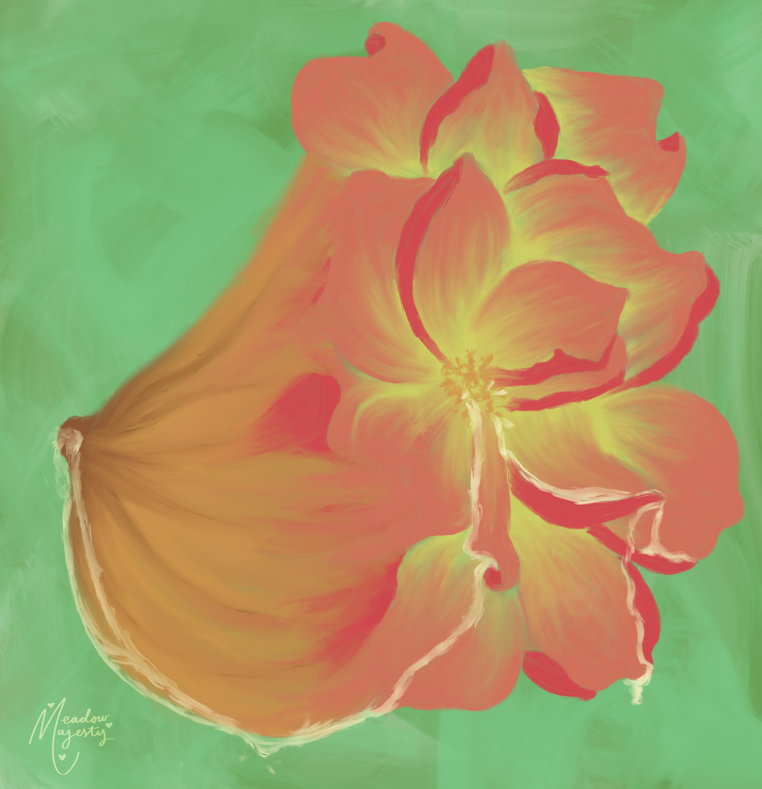 The M.O.M.F Collection